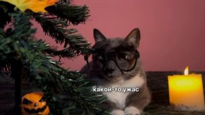 ХЭЭЛУИН В ШКОЛЕ КОТИКОВ!