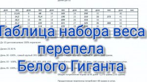Вес перепелов белый ГИГАНТ по дням.