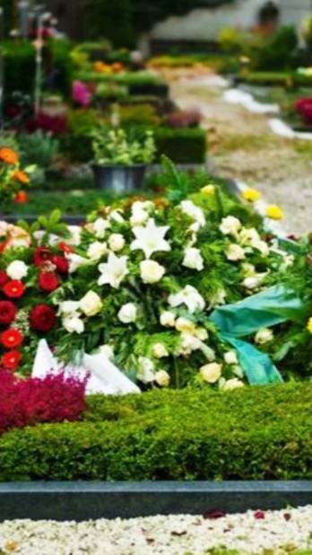Искусственные цветы. Что нужно, чтобы не выбрасывать  каждый год на свалки.