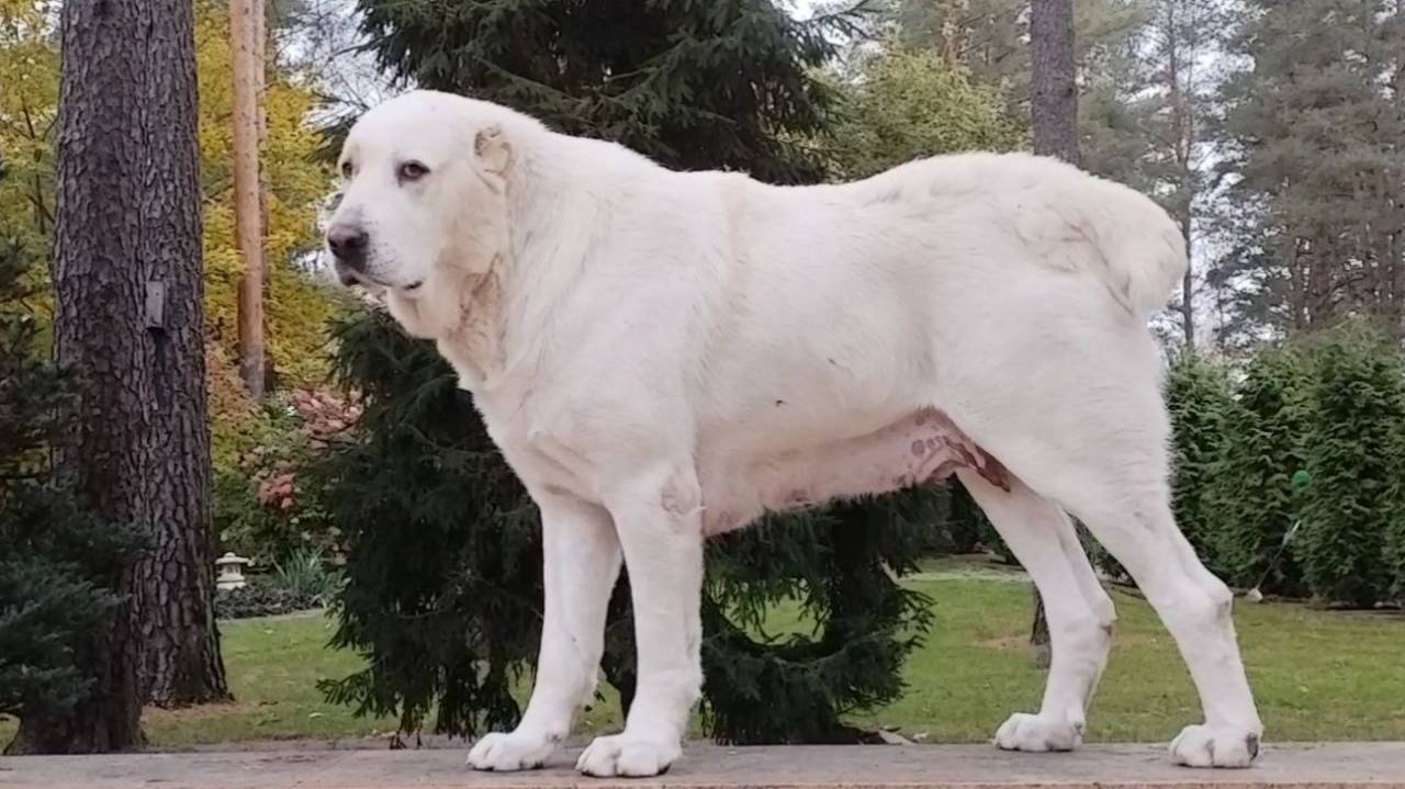 Красавица и фотомодель.    Брунгильда, знакомьтесь!