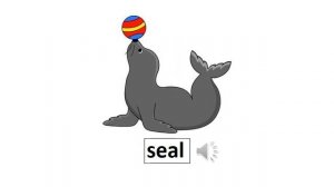 Funny animals page 58