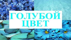 Изучаем цвета _ ГОЛУБОЙ цвет _ Обучающий и развивающий мультик для детей _ Слушать онлайн