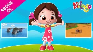 Niloya Şarkı / Balıklar Şekil Şekil