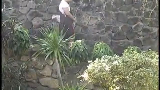 Vipassana Bhavana Meditation Mahasi Sayadaw Technique