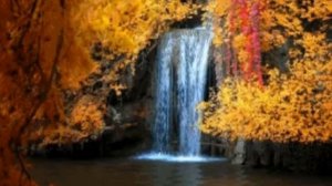 Осенний футаж. Водопад