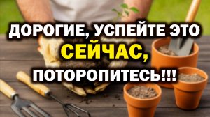 Супермощный урожай и зимой, и летом. Как??? БашИнком. Антонов сад