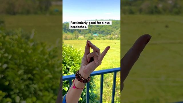 #healthylifestyle #mindfulness #mudras #yogapractice #fitness #healing #therapy #yoga