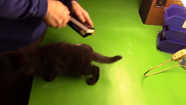 вспучивание китайского повербанка на солнце смотреть онлайн