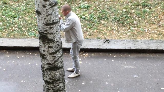 Разговор с Алисой. Будущее которое мы заслуживаем😀 смотреть онлайн