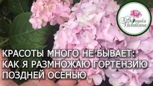 Это так просто, что вам обязательно захочется это сделать