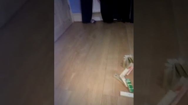 Jenga quake and domino challenges смотреть онлайн