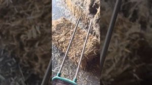 Yieryi YY1011 Moisture Tester Review