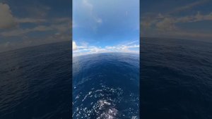 20241004_122856_239_1