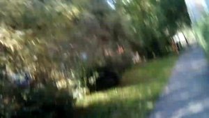 Stalker в реальной жизни