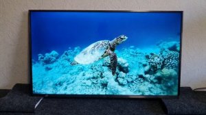 Телевизор MI L43M5-5ARU с дефектом