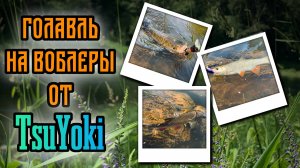 Ловля Голавля на воблеры TsuYoki kiki 54f, Agent 40ssr и т.д. | Приучаю товарища к спиннингу.