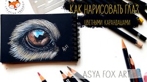 Как нарисовать глаз собаки цветными карандашами / ASYAFOXART