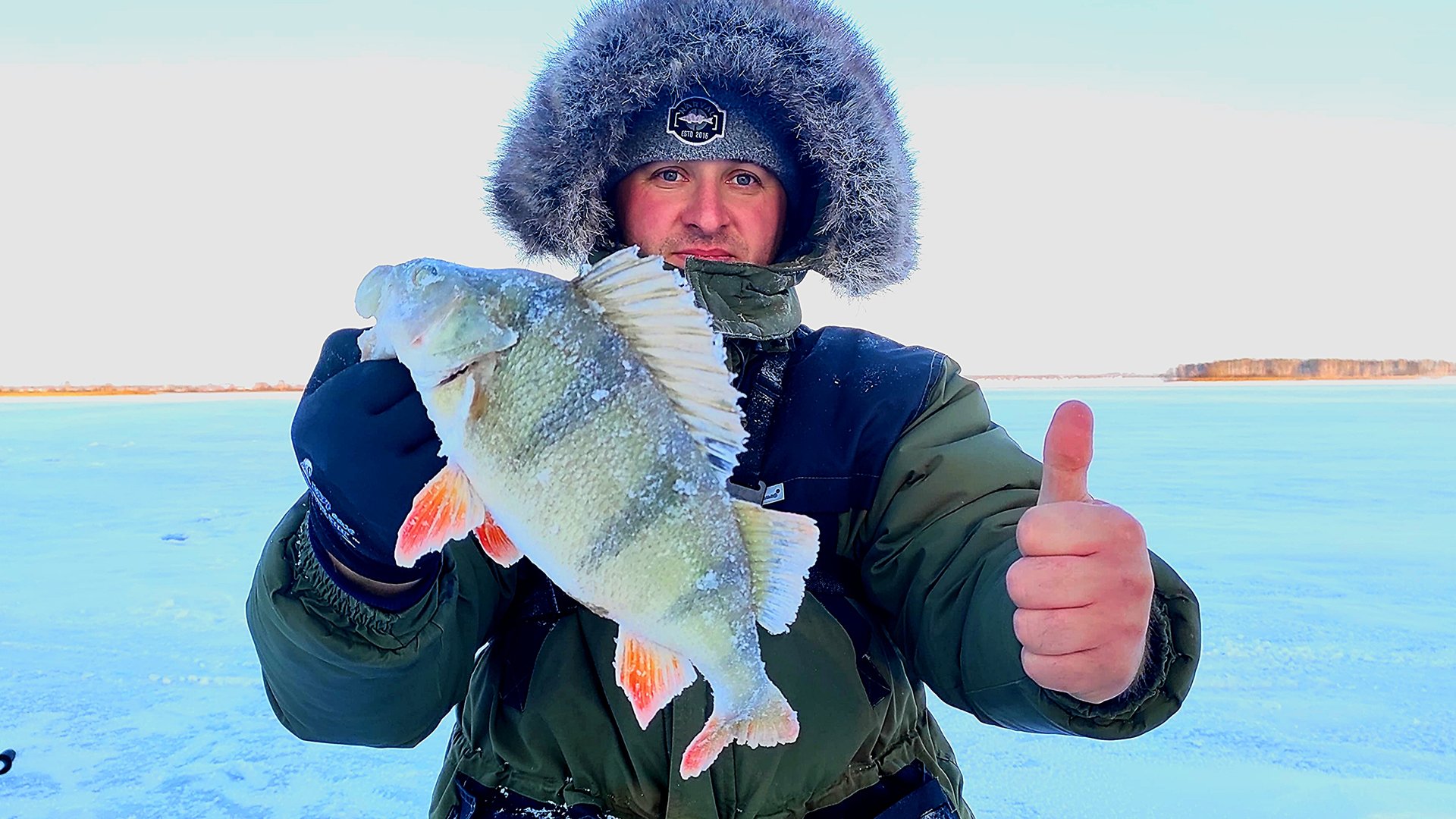 ЗИМНЯЯ РЫБАЛКА НА БАЛАНСИР! ОКОНИ КЛЮЮТ ОДИН ЗА ОДНИМ смотреть онлайн