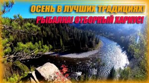 ОСЕННИЙ ОТДЫХ И РЫБАЛКА В ЛУЧШИХ ТРАДИЦИЯХ!!! ОТБОРНЫЙ ХАРИУС!!! ТАЙГА!!#ГорнаяРека #Сибирь