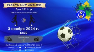 ФИНАЛ БРОНЗОВОГО КУБКА/VIKING CUP, Игра №11, 03-11-2024 12:30