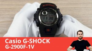 Часы Casio G-SHOCK G-2900F-1V