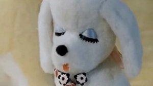 Ставрополь.(1976)