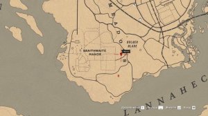 RDR 2 online Индейский табак. Тоник из табака RDO
