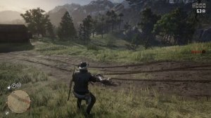 RDR 2 Online Синежаберник, Спасен человек, Аляскинский женьшень. Как сбить шляпу.