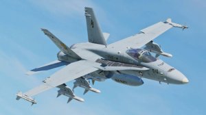 DCS F-18