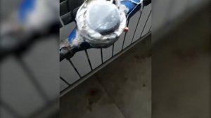 Броня Антиконденсат при теплоизоляции пластиковых труб. Красноярск