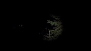 Установка фотоловушки с внешним аккумулятором