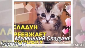 💖Ляпота ТВ💖Картинки❤Все ✨все канала ляпота тв✨