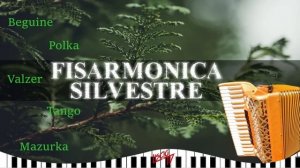 Fisarmonica Silvestre | Ballo Folk Balera | Fisarmonica 2024 | Mix Tango, Fox, Polka