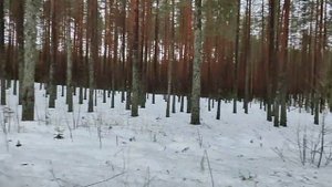 Пионер, стрельба ГРОМом