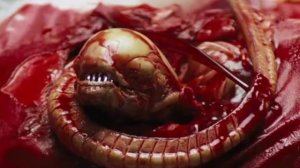 История чужого.