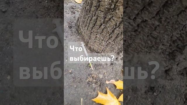 Выбор за тобой! #зож #нетнаркотикам