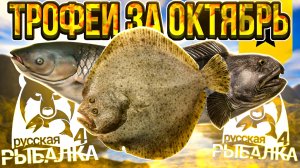 ТРОФЕИ ЗА ОКТЯБРЬ! | РУССКАЯ РЫБАЛКА 4 #рр4