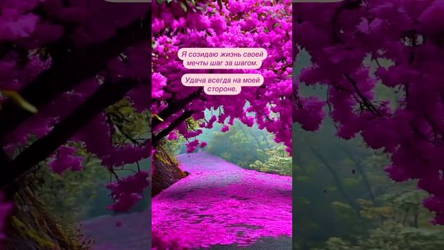 Я созидаю жизнь своей мечты шаг за шагом смотреть онлайн