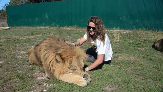 У девушки аллергия на котов ! смотреть онлайн