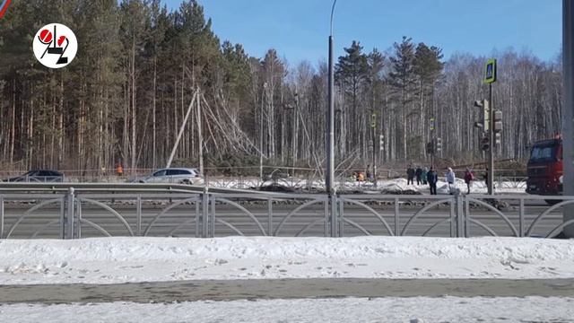 "Двойники" собирают автографы за вырубку рощи смотреть онлайн