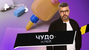 Чудо-клей — Знаете ли вы, что? (22.01.2023)