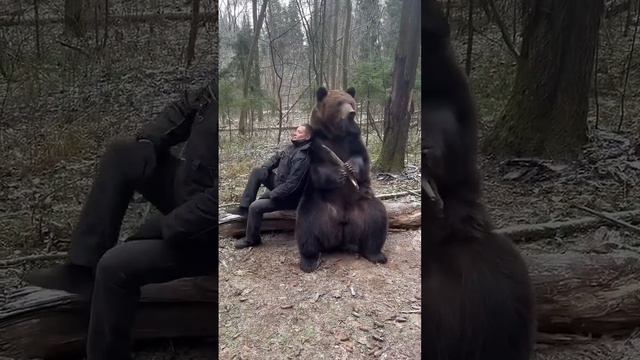 Однажды в русском лесу