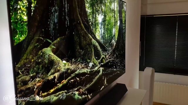 Philips Oled+ 9000 series смотреть онлайн