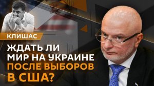 Андрей Клишас. Вмешательство в выборы в Грузии и умерщвление бездомных животных