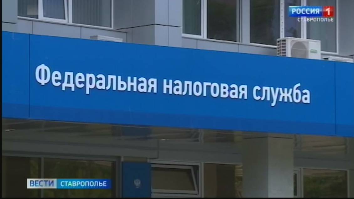 Налоговый вычет в России станет автоматическим: кэшбэк от государства