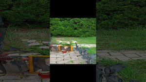 Троекуровское кладбище.Могилы знаменитых людей.