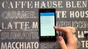 Sony Xperia M2 (D2302) Incoming call+ Phone review