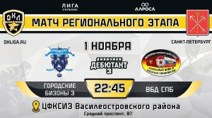 ГОРОДСКИЕ БИЗОНЫ 3 - ВБД СПБ / 01.11.24 / ОХЛ САНКТ-ПЕТЕРБУРГ / ДИВИЗИОН ДЕБЮТАНТ 3