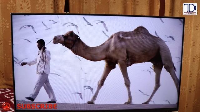 Realme 43 inch Full HD Smart Android TV I Unboxing and Initial Review | Best Android TV under 22000 смотреть онлайн