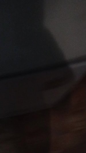 вечер с с Еленой куклой